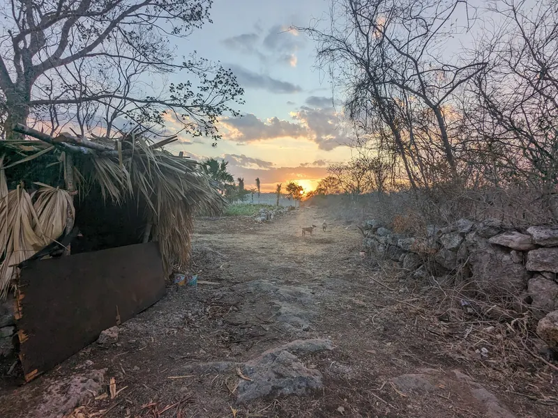 Un camino pedregoso al atardecer, con un perro a lo lejos.