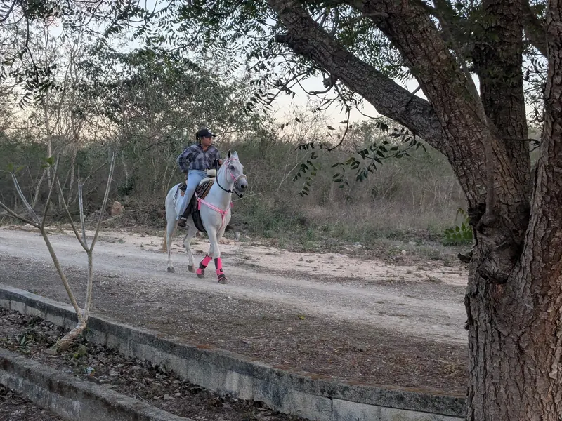 Un jinete en un caballo blanco por un camino blanco de Mocochá.