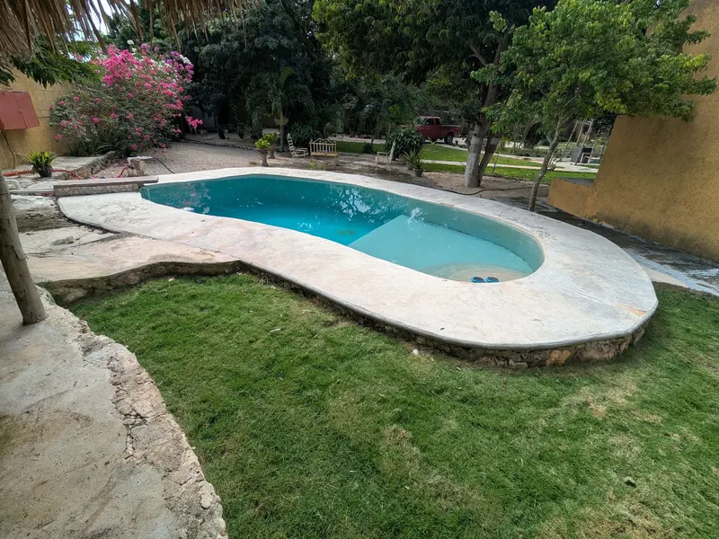 La alberca junto a la palapa, con buganvilia al fondo.